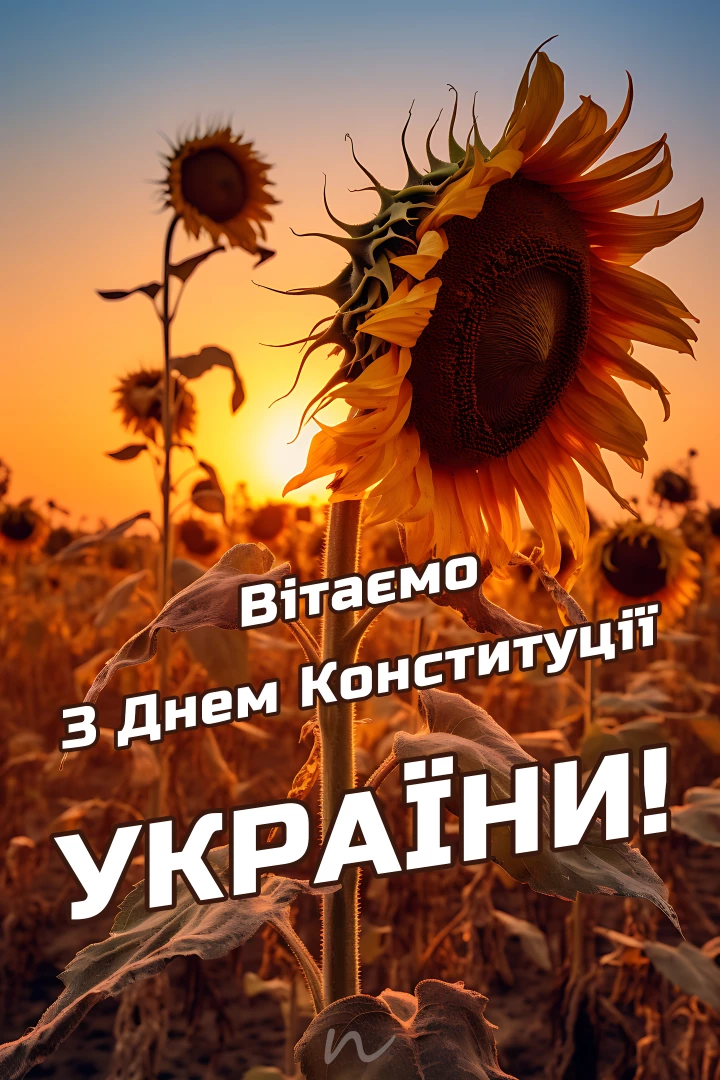 Привітання з Днем Конституції України 📖 5/9, листівка 43