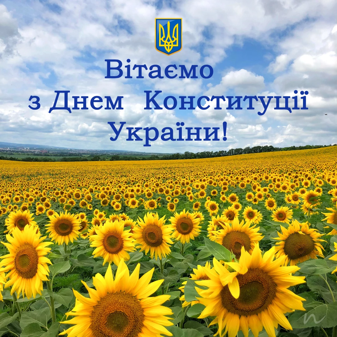 Поздравления с Днем Кконституции Украины 📖 2/9 на украинском языке, открытка 15