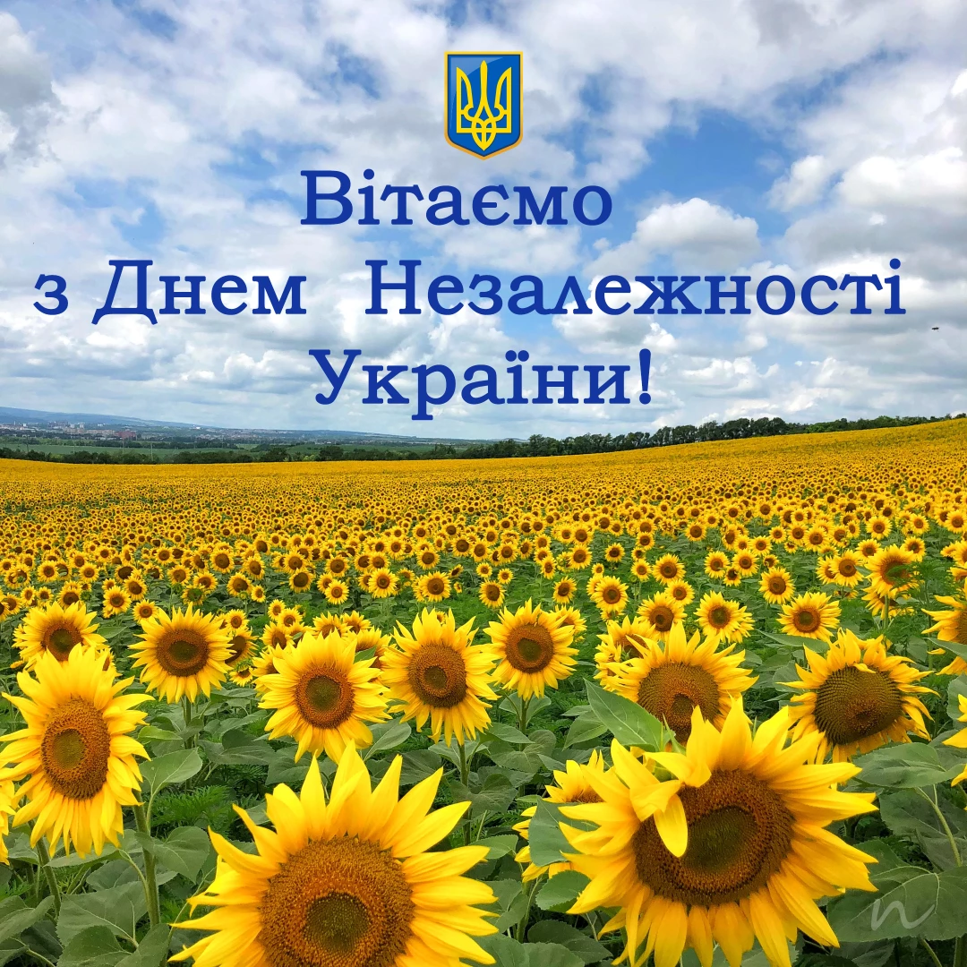 Поздравления с Днем независимости Украины 💛🩵 14/14 на украинском языке, открытка 132